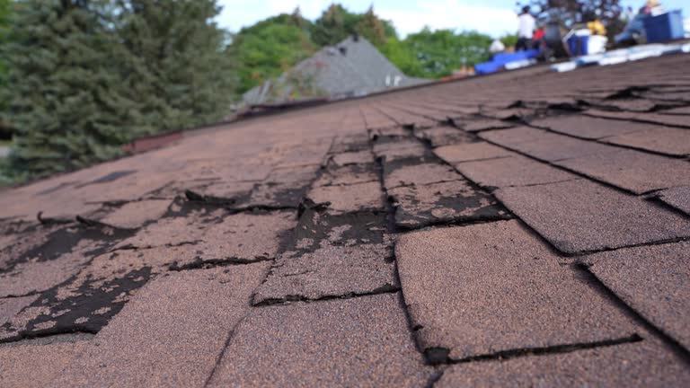 Best Rubber Roofing (EPDM, TPO)  in Hackberry, TX