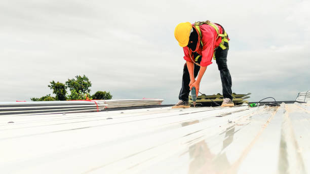 Best Flat Roofing  in Hackberry, TX
