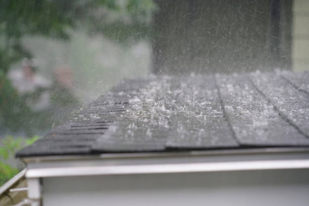 Best Solar Panel Roofing Installation  in Hackberry, TX