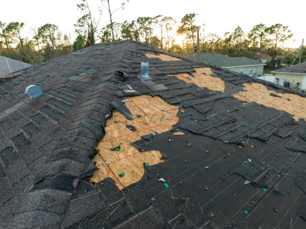 Best Commercial Roofing Services  in Hackberry, TX