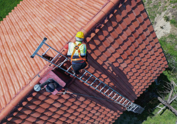 Best Cold Roofs  in Hackberry, TX